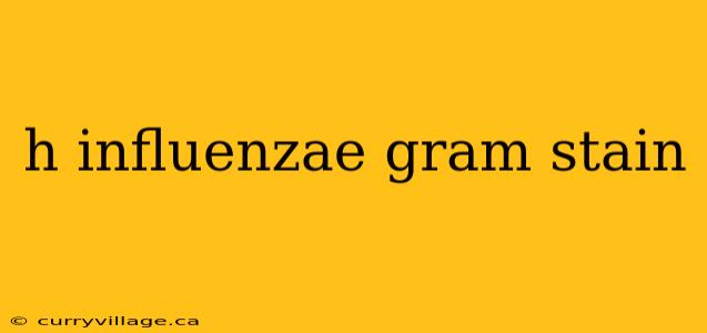 h influenzae gram stain