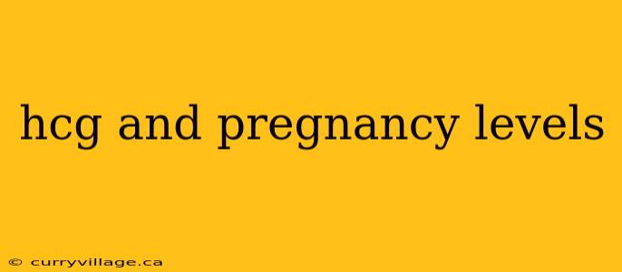 hcg and pregnancy levels