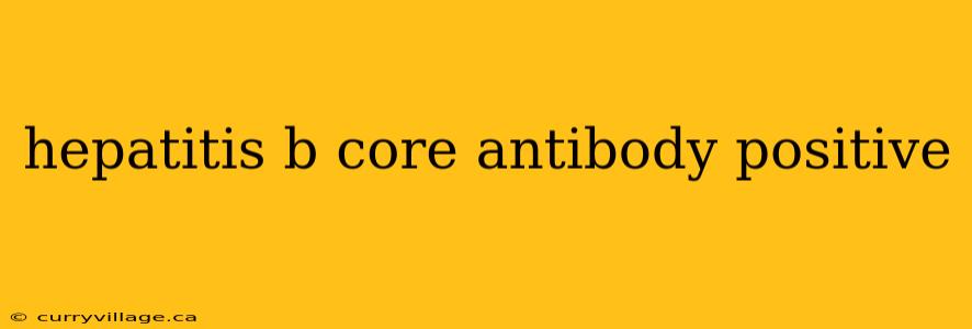 hepatitis b core antibody positive