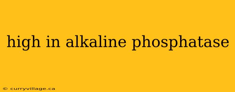 high in alkaline phosphatase