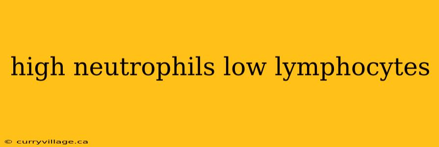 high neutrophils low lymphocytes