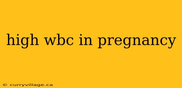 high wbc in pregnancy