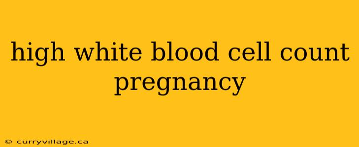 high white blood cell count pregnancy