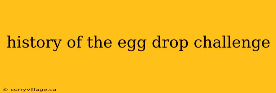 history of the egg drop challenge