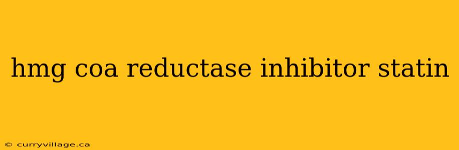 hmg coa reductase inhibitor statin