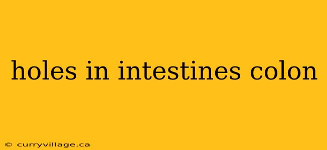 holes in intestines colon