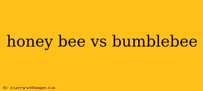 honey bee vs bumblebee