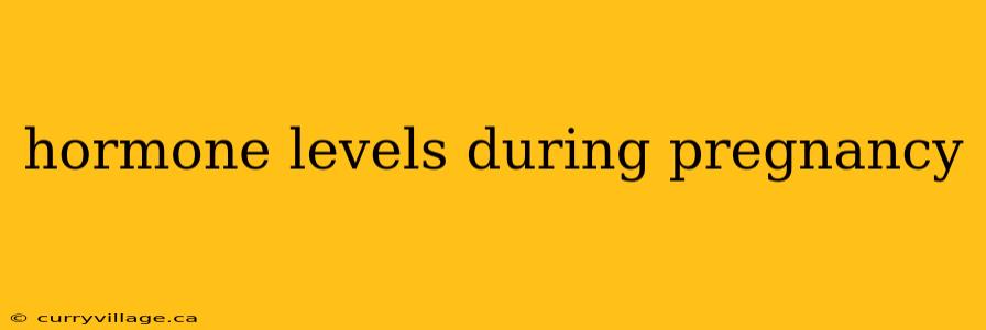 hormone levels during pregnancy