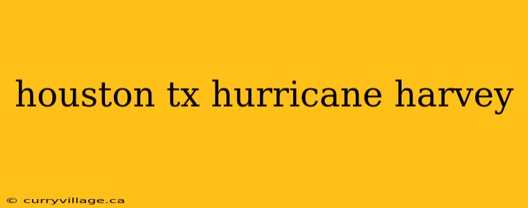 houston tx hurricane harvey