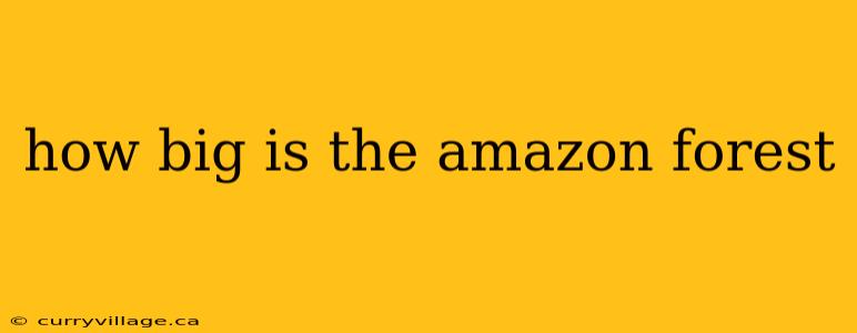 how big is the amazon forest