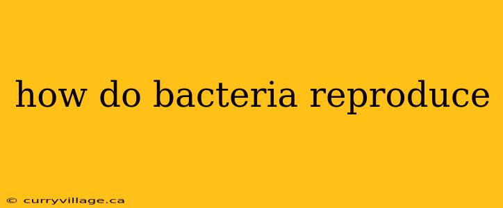 how do bacteria reproduce