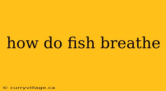how do fish breathe
