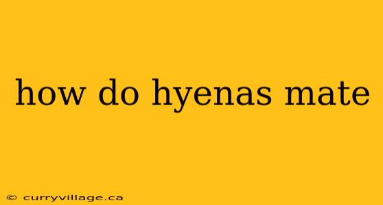 how do hyenas mate