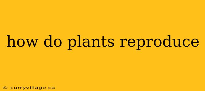 how do plants reproduce