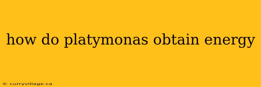 how do platymonas obtain energy