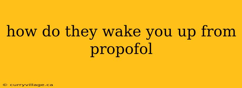 how do they wake you up from propofol