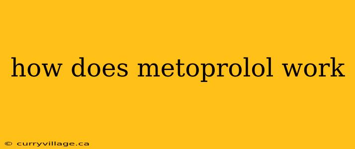 how does metoprolol work