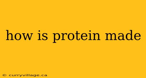 how is protein made