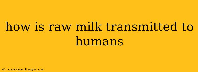 how is raw milk transmitted to humans