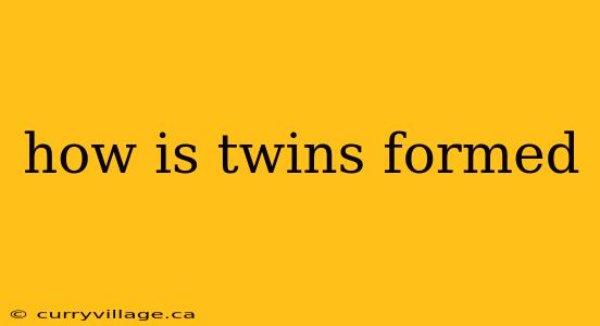 how is twins formed
