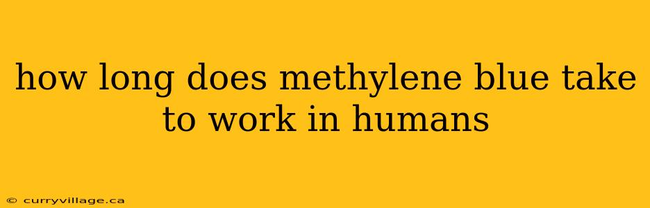 how long does methylene blue take to work in humans
