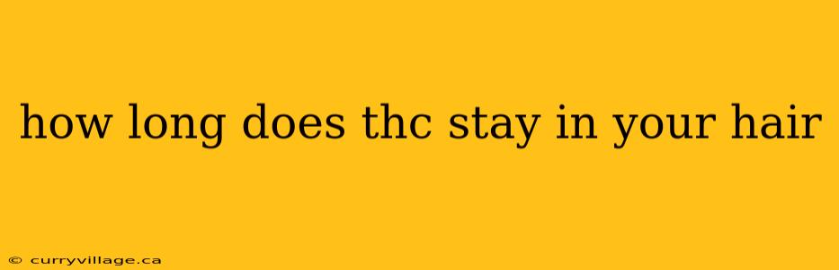 how long does thc stay in your hair