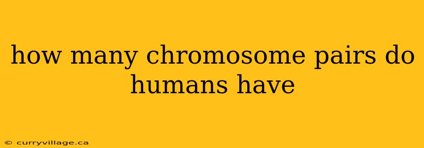 how many chromosome pairs do humans have