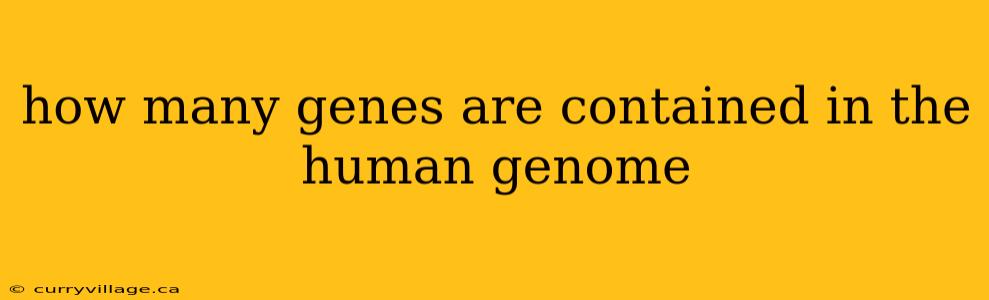 how many genes are contained in the human genome