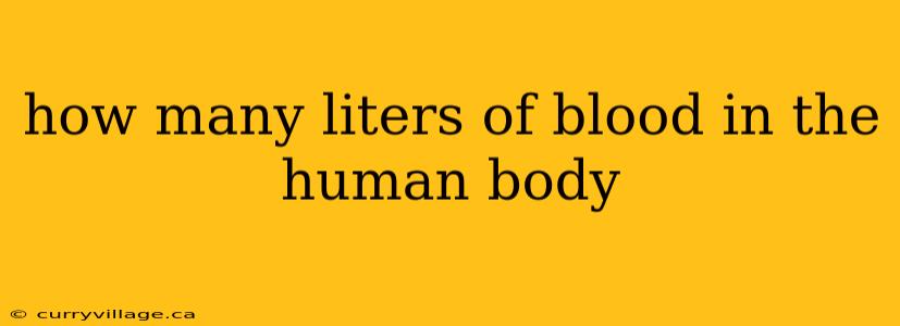 how many liters of blood in the human body