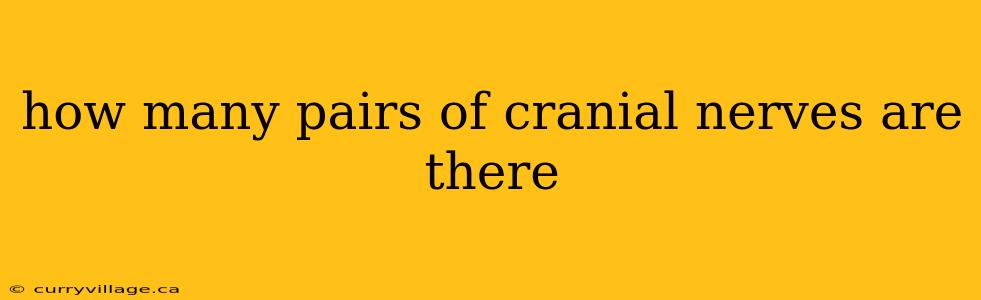 how many pairs of cranial nerves are there