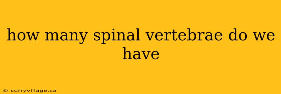 how many spinal vertebrae do we have