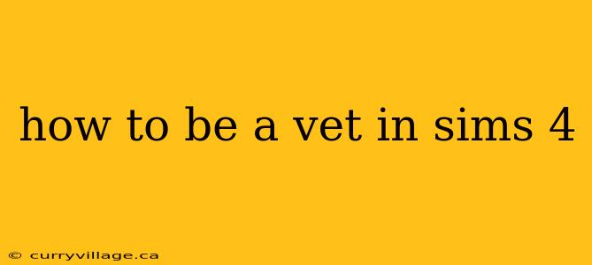 how to be a vet in sims 4