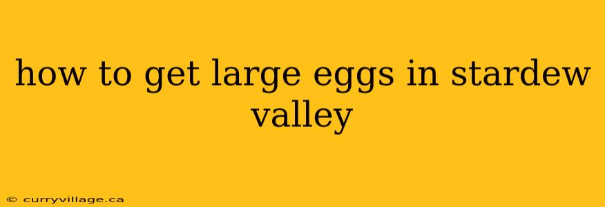 how to get large eggs in stardew valley