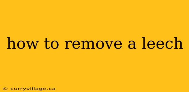 how to remove a leech