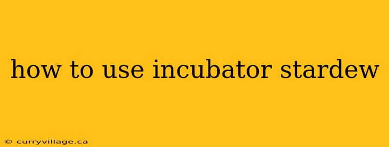 how to use incubator stardew