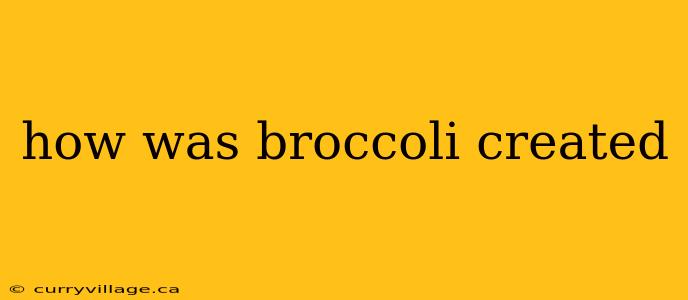 how was broccoli created