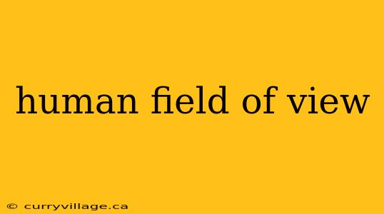 human field of view