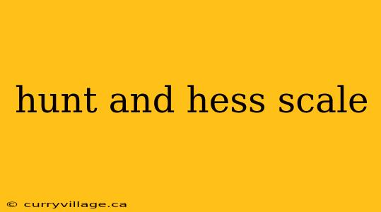 hunt and hess scale