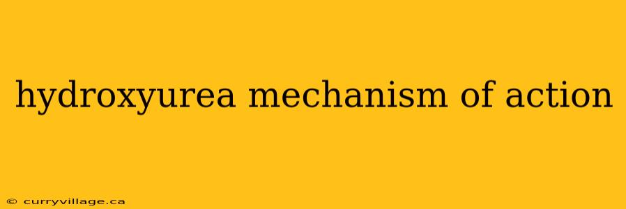 hydroxyurea mechanism of action