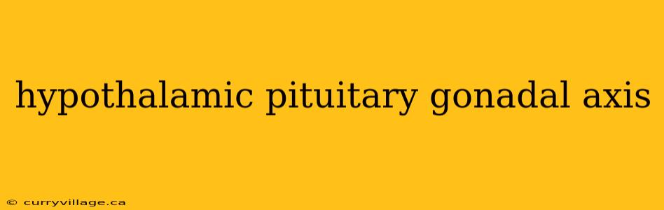 hypothalamic pituitary gonadal axis