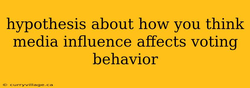 hypothesis about how you think media influence affects voting behavior