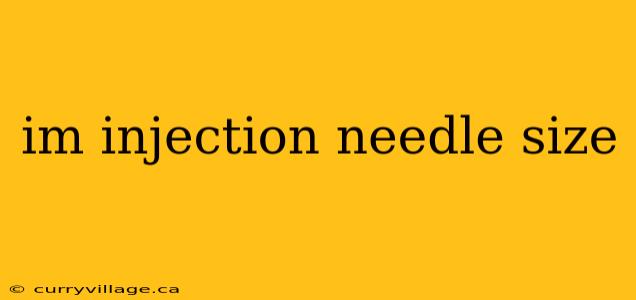 im injection needle size
