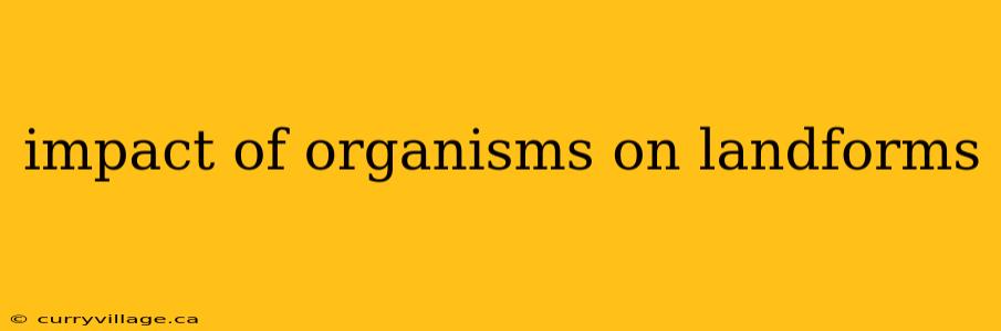 impact of organisms on landforms