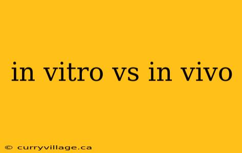 in vitro vs in vivo