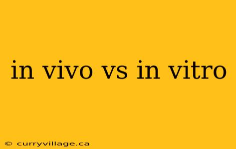 in vivo vs in vitro