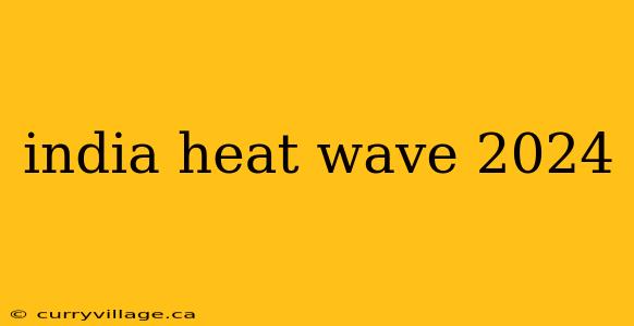 india heat wave 2024
