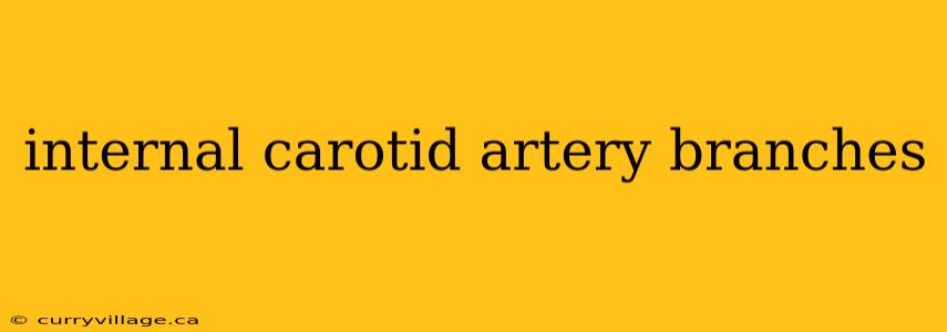 internal carotid artery branches