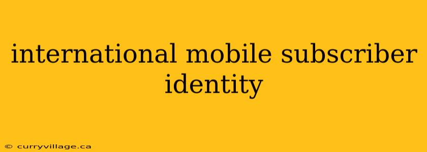 international mobile subscriber identity