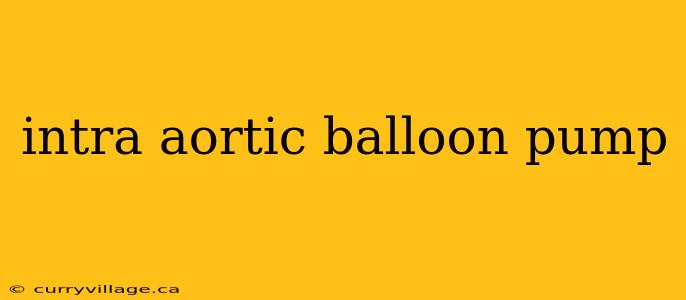 intra aortic balloon pump