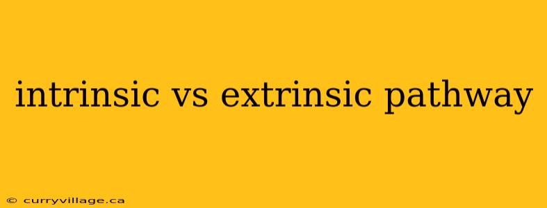 intrinsic vs extrinsic pathway